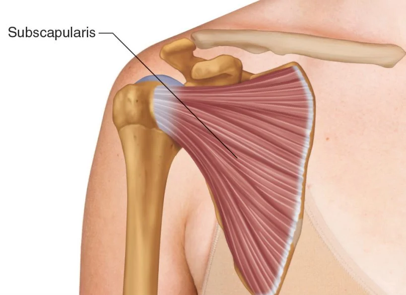 Rotator Cuff Tear Dr Manish Aroraa